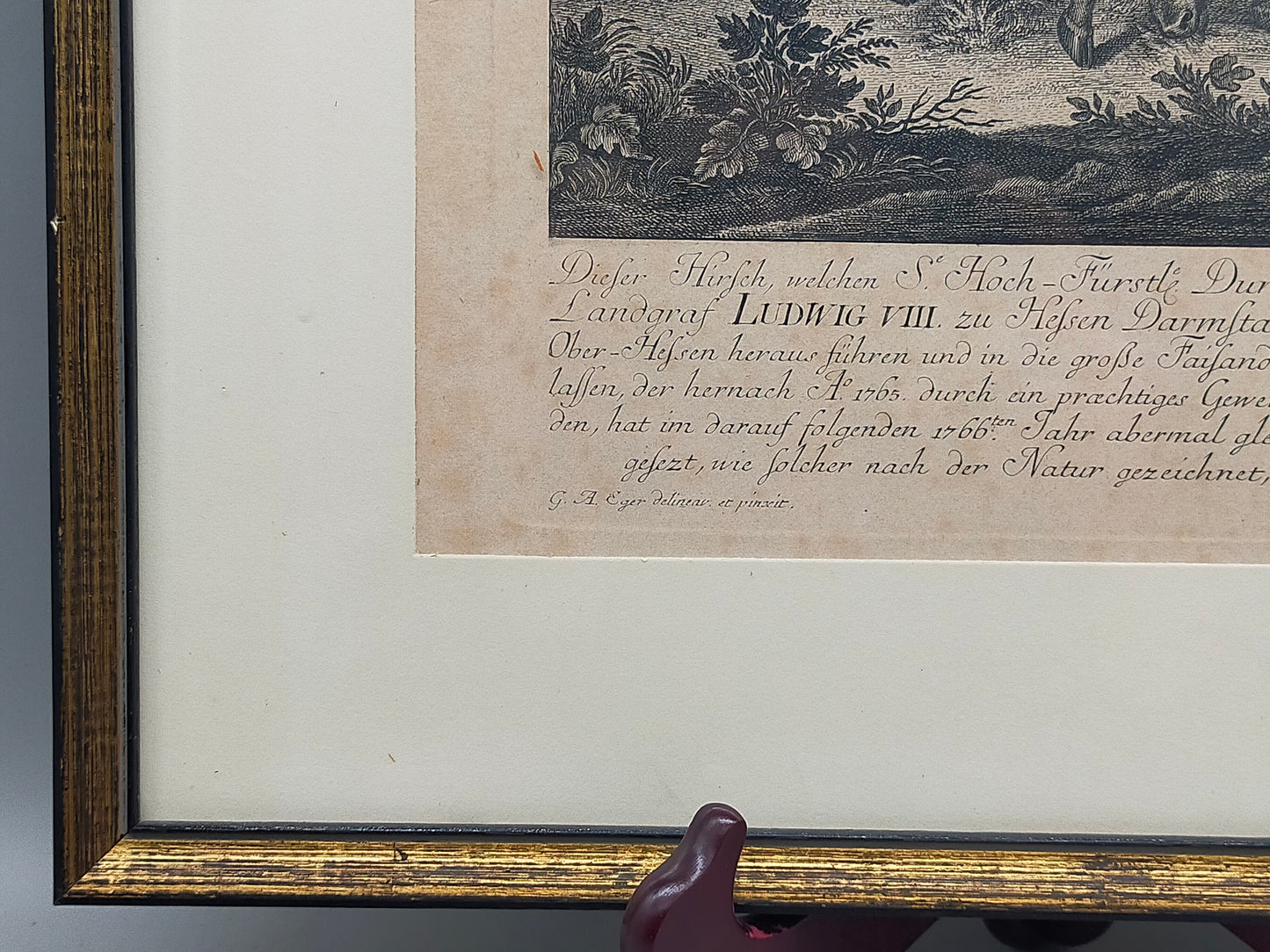 Antiker Kupferstich Johann Elias Ridinger – Prachtvoller Hirsch von 1763