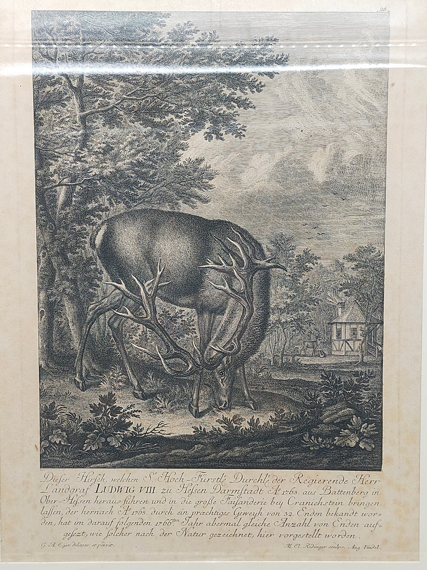 Antiker Kupferstich Johann Elias Ridinger – Prachtvoller Hirsch von 1763