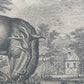 Antiker Kupferstich Johann Elias Ridinger – Prachtvoller Hirsch von 1763
