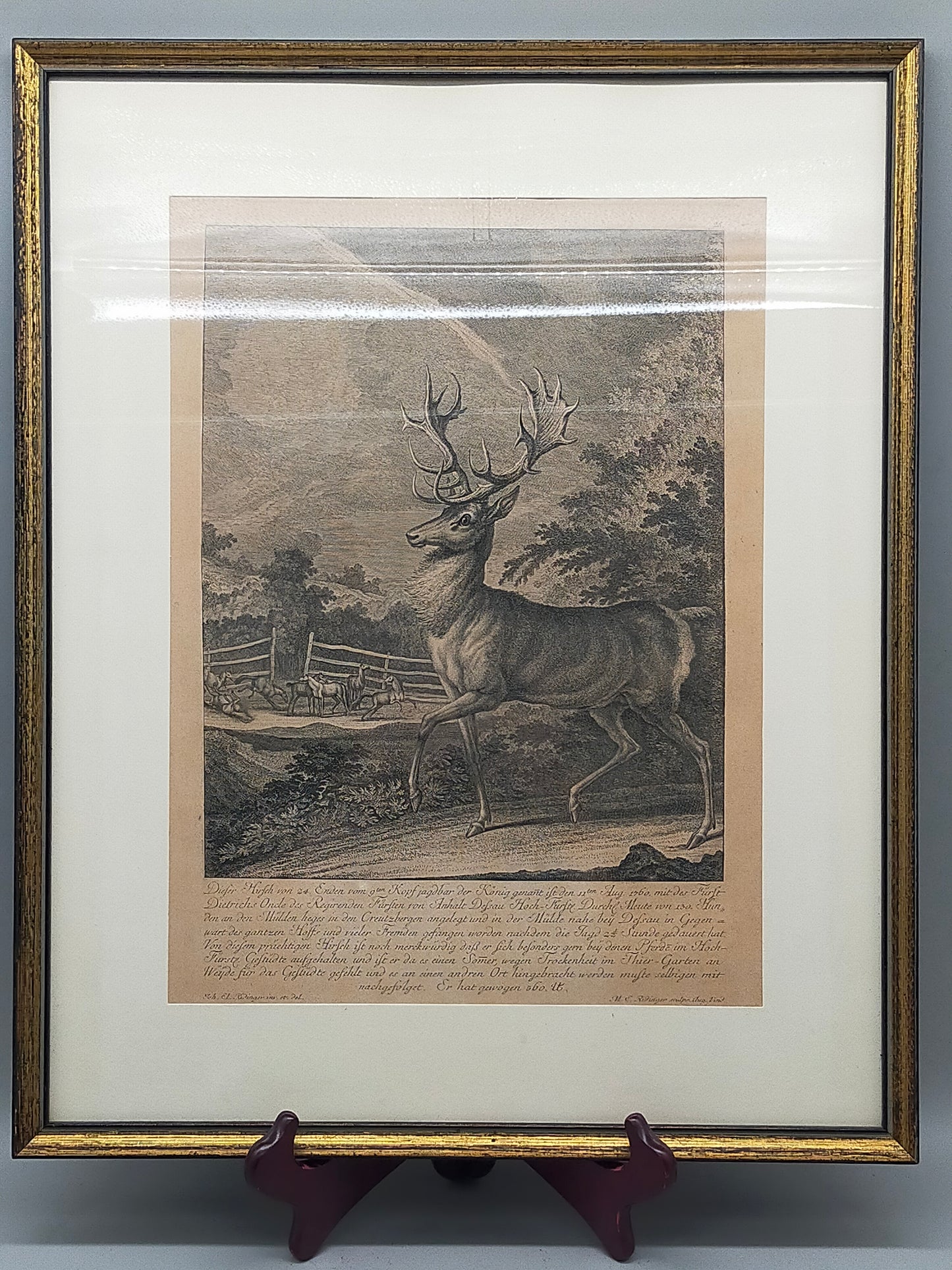 Historischer Kupferstich Johann Elias Ridinger – Der Prachtvolle Hirsch