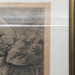 Historischer Kupferstich Johann Elias Ridinger – Der Prachtvolle Hirsch