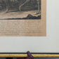 Historischer Kupferstich Johann Elias Ridinger – Der Prachtvolle Hirsch
