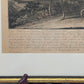 Historischer Kupferstich Johann Elias Ridinger – Der Prachtvolle Hirsch