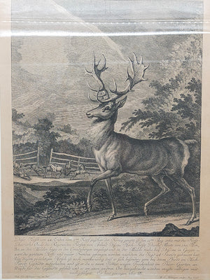 Historischer Kupferstich Johann Elias Ridinger – Der Prachtvolle Hirsch