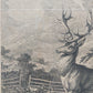 Historischer Kupferstich Johann Elias Ridinger – Der Prachtvolle Hirsch