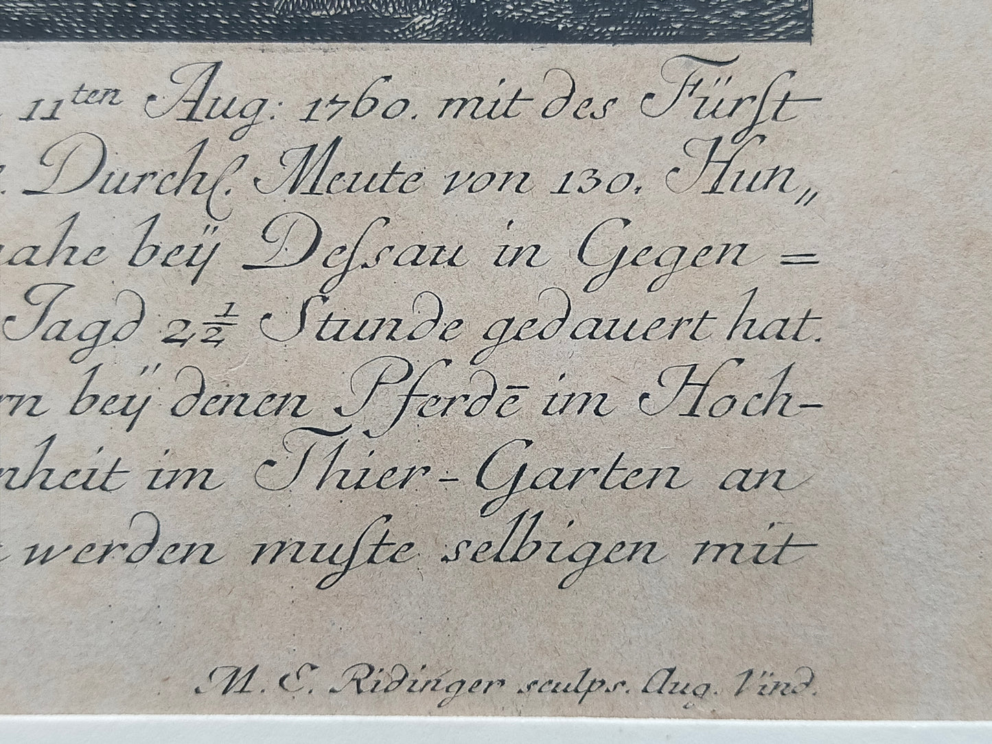 Historischer Kupferstich Johann Elias Ridinger – Der Prachtvolle Hirsch