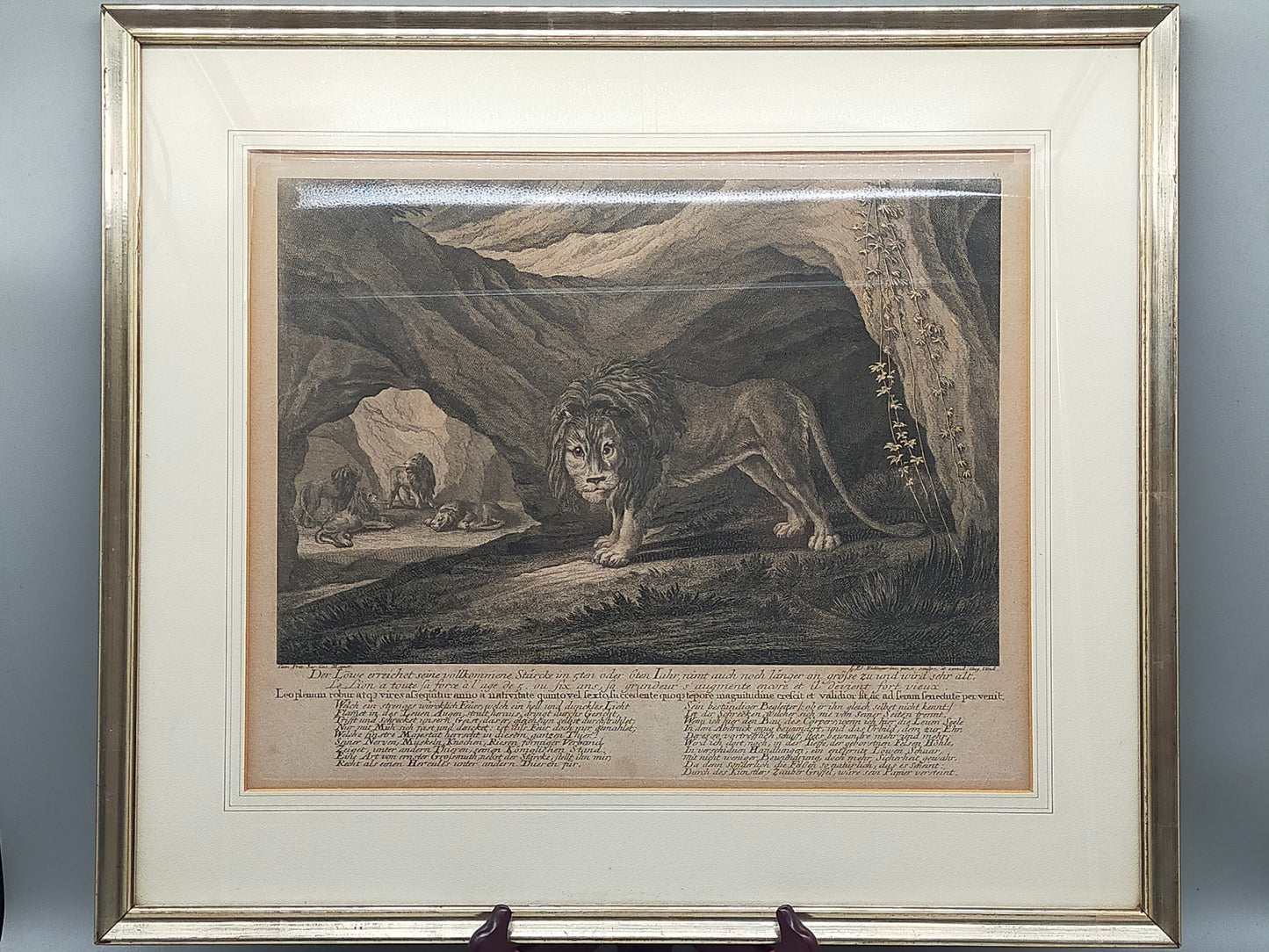 Antiker Kupferstich Johann Elias Ridinger – Prachtvoller Löwe in Höhle