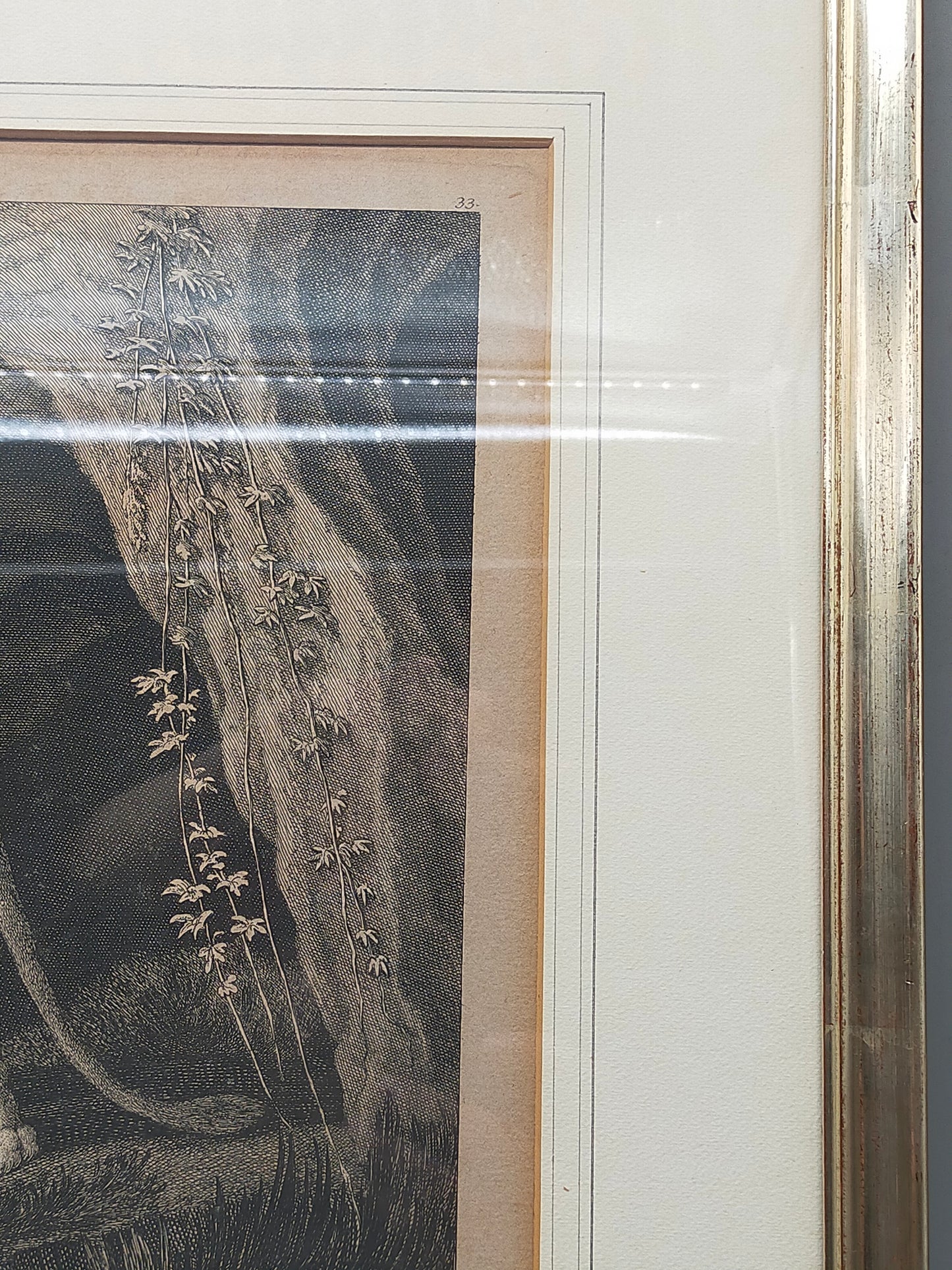 Antiker Kupferstich Johann Elias Ridinger – Prachtvoller Löwe in Höhle
