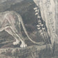 Antiker Kupferstich Johann Elias Ridinger – Prachtvoller Löwe in Höhle