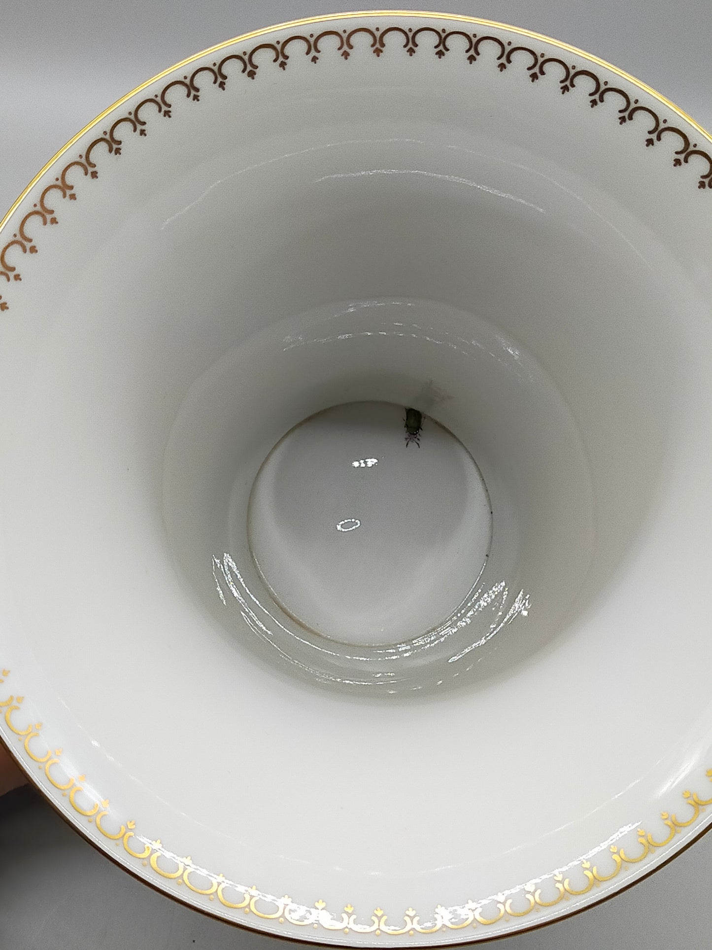 Edle Ludwigsburg Porzellan Vase – Handbemalt mit Pfau & Goldrand