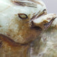 Antike Kamel Skulptur aus Jadestein – Handgearbeitete Tierfigur