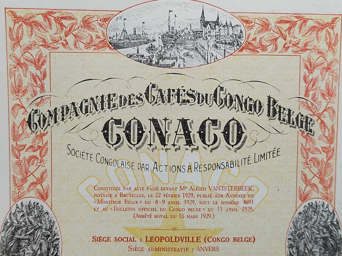 Historische Aktie CONACO 1929 Compagnie des Cafés du Congo Belge