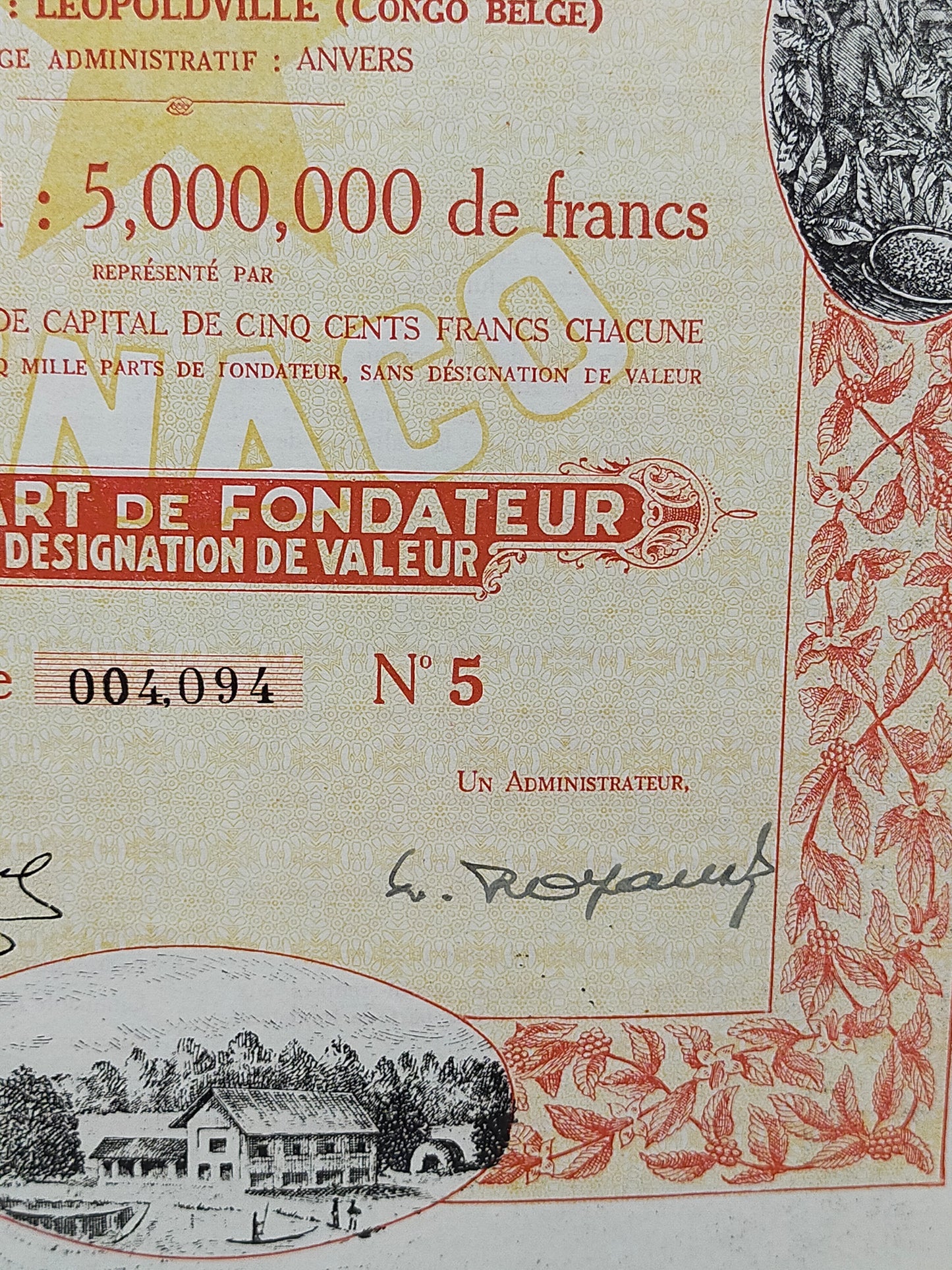 Historische Aktie CONACO 1929 Compagnie des Cafés du Congo Belge