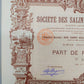 Historische Gründeraktie Société des Salines de Diego Suarez Paris 1895