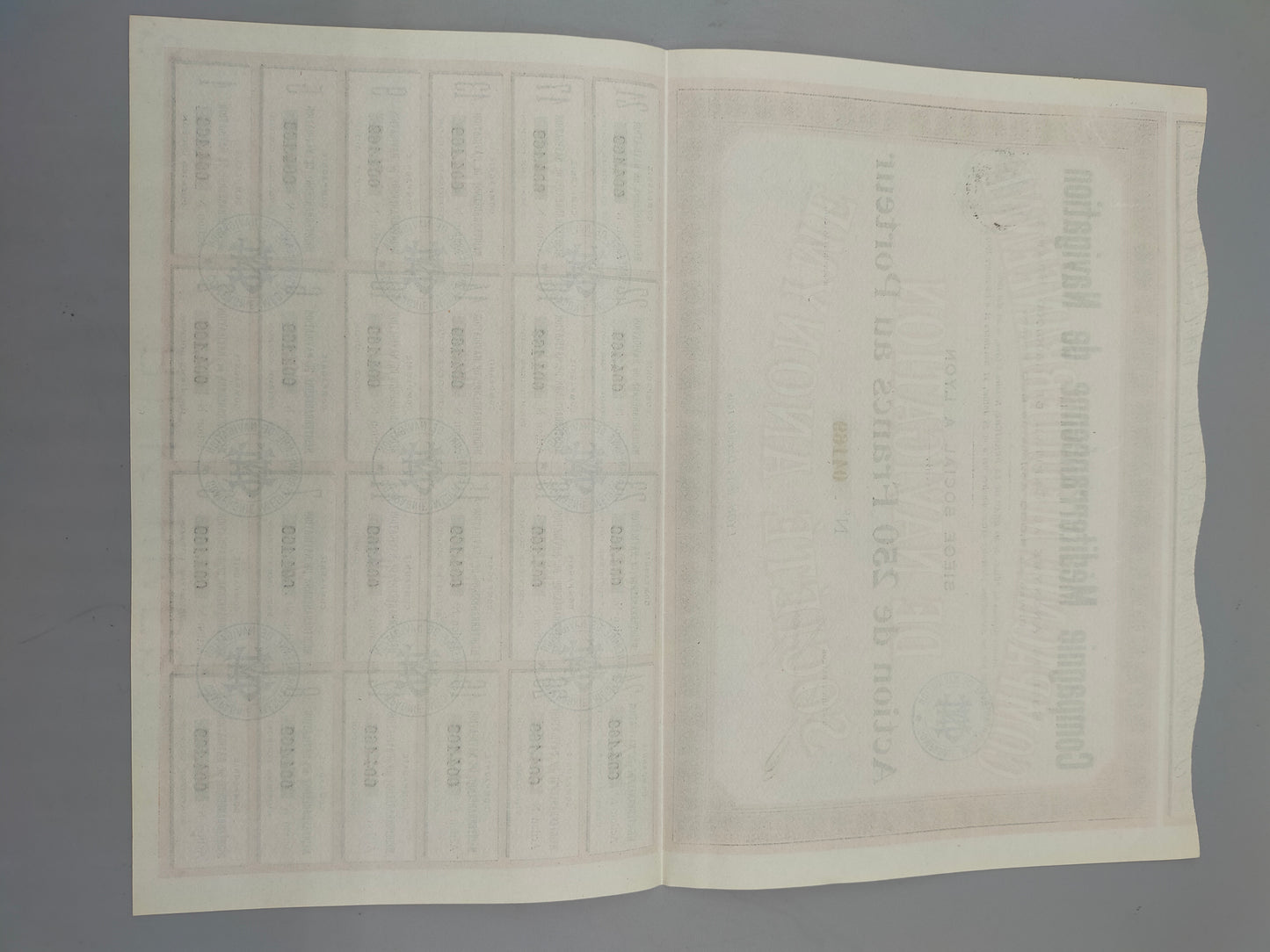 Historische Aktie Compagnie Méditerranéenne de Navigation 1905 Lyon