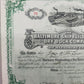 Antike Aktie Baltimore Shipbuilding and Dry Dock Company von 1902