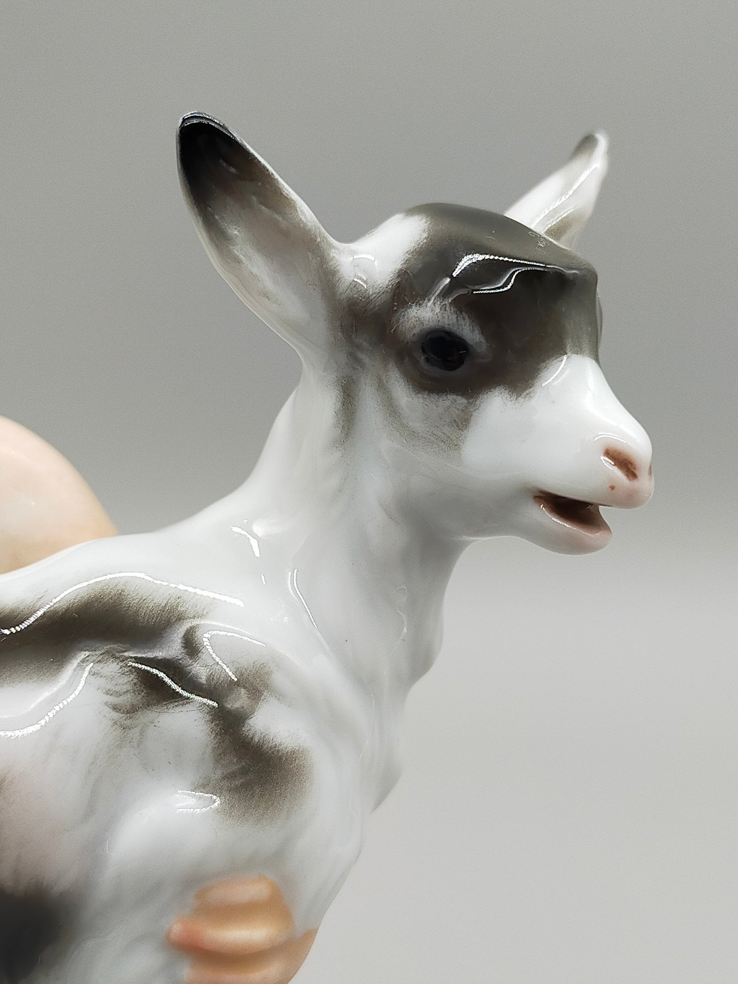 Antike Rosenthal Porzellanfigur – Kind mit Zicklein von Fritz Heidenreich