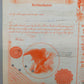 West Shore Railroad Company Historische Anleihe 1000 Dollar 1932