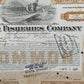 Historische Booth Fisheries Company Aktie von 1921