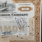 Historische Booth Fisheries Company Aktie von 1921