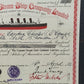 Historische Cunard Steam-Ship Aktie von 1912