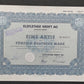 Historische Aktie Elsflether Werft AG 50 Deutsche Mark von 1990