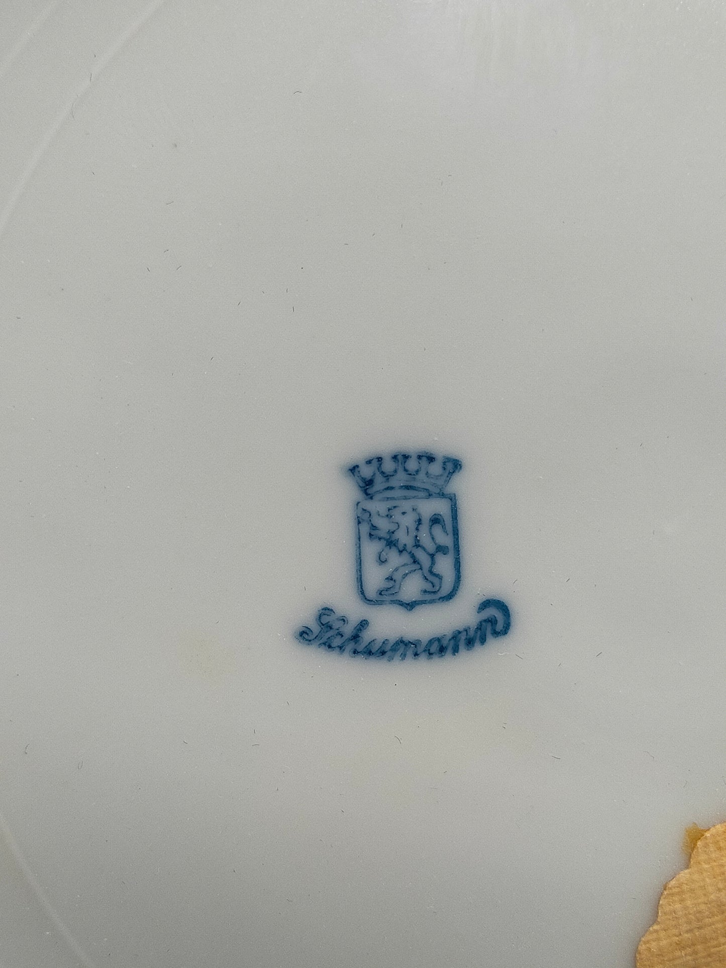 Schumann Porzellan Wandteller mit Fruchtmotiv Eleganter Goldrand