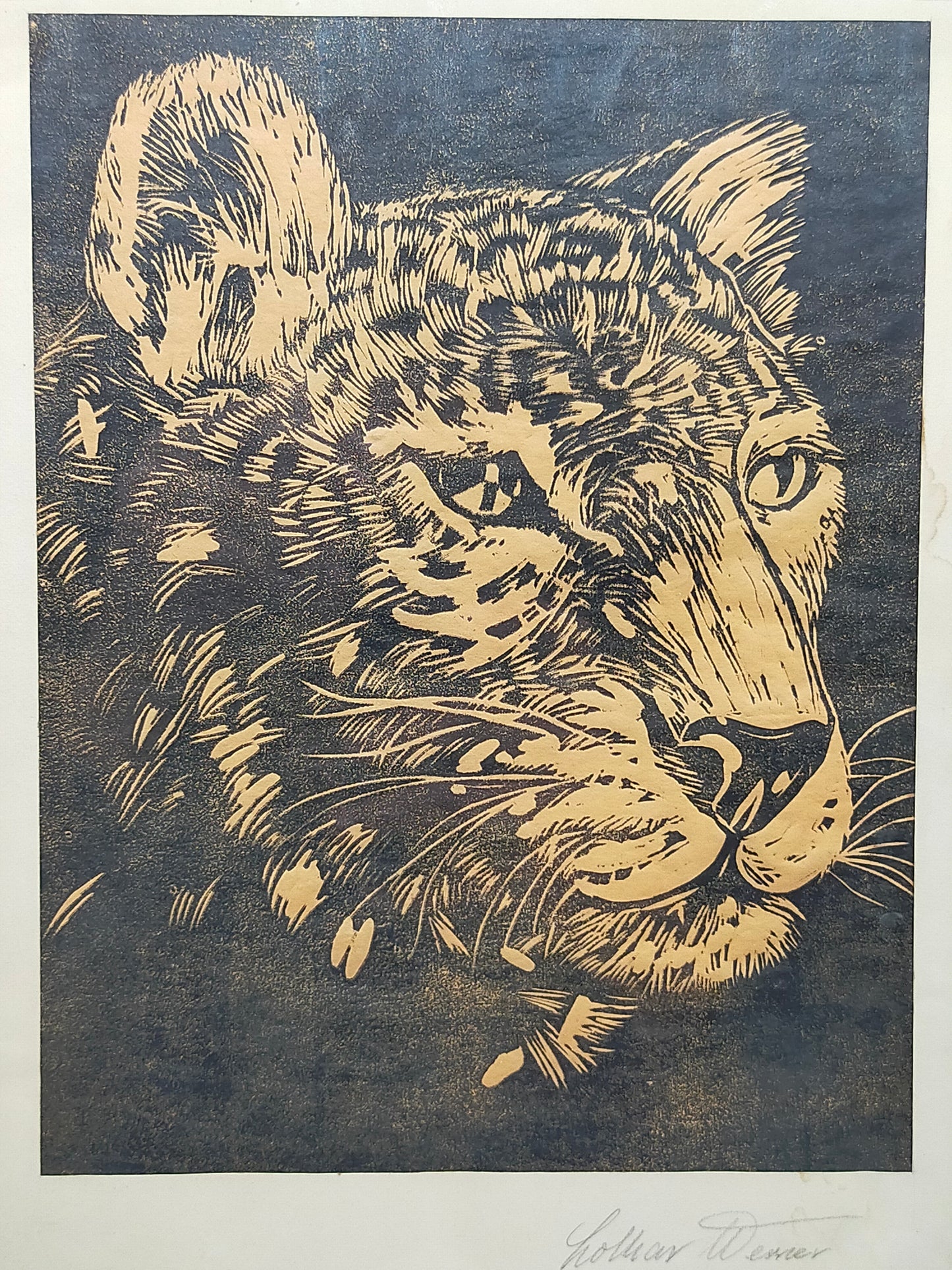 Originaler Grafik Lothar Werner Linolschnitt Leopard 1954