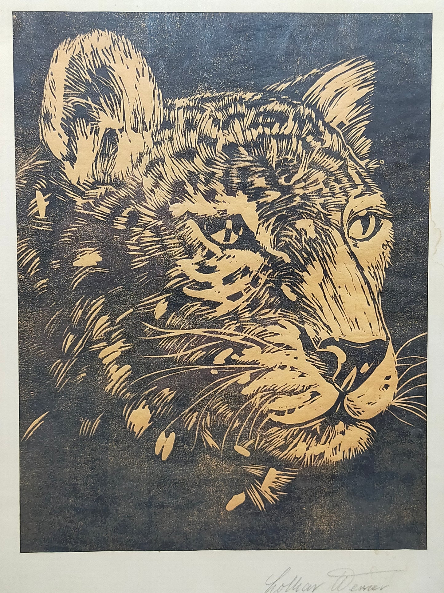 Originaler Grafik Lothar Werner Linolschnitt Leopard 1954