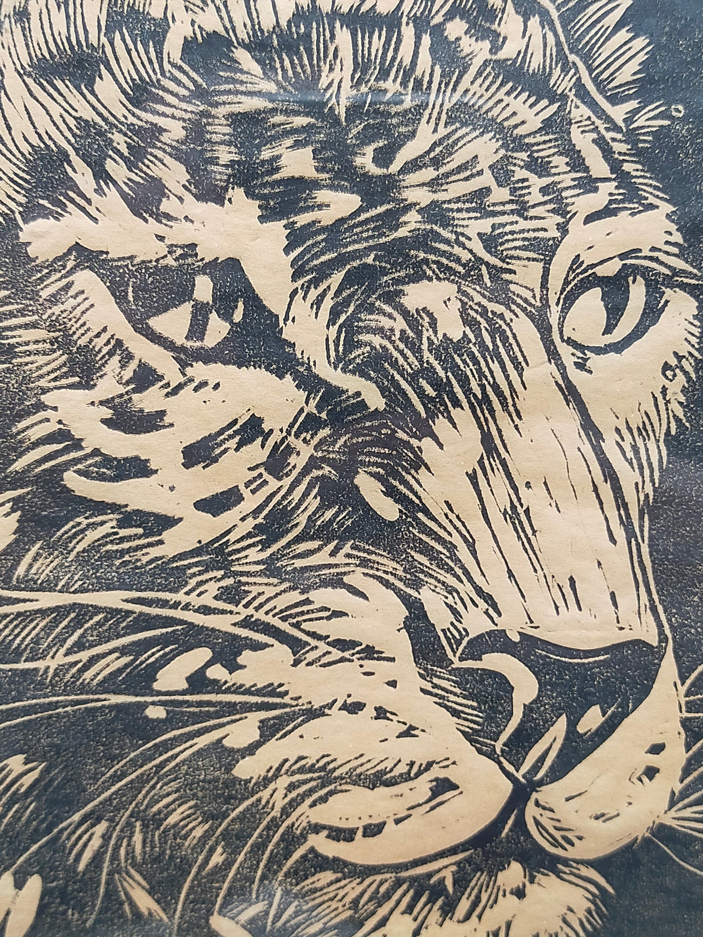 Originaler Grafik Lothar Werner Linolschnitt Leopard 1954