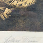 Originaler Grafik Lothar Werner Linolschnitt Leopard 1954