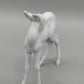 Edle Rosenthal Porzellan Figur Reh Elegantes Rehkitz
