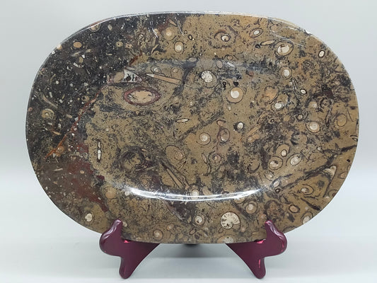 Fossilien Servierplatte aus Stein Ovale Dekoschale mit Ammoniten