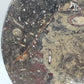 Fossilien Servierplatte aus Stein Ovale Dekoschale mit Ammoniten