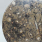 Fossilien Servierplatte aus Stein Ovale Dekoschale mit Ammoniten