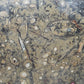 Fossilien Servierplatte aus Stein Ovale Dekoschale mit Ammoniten