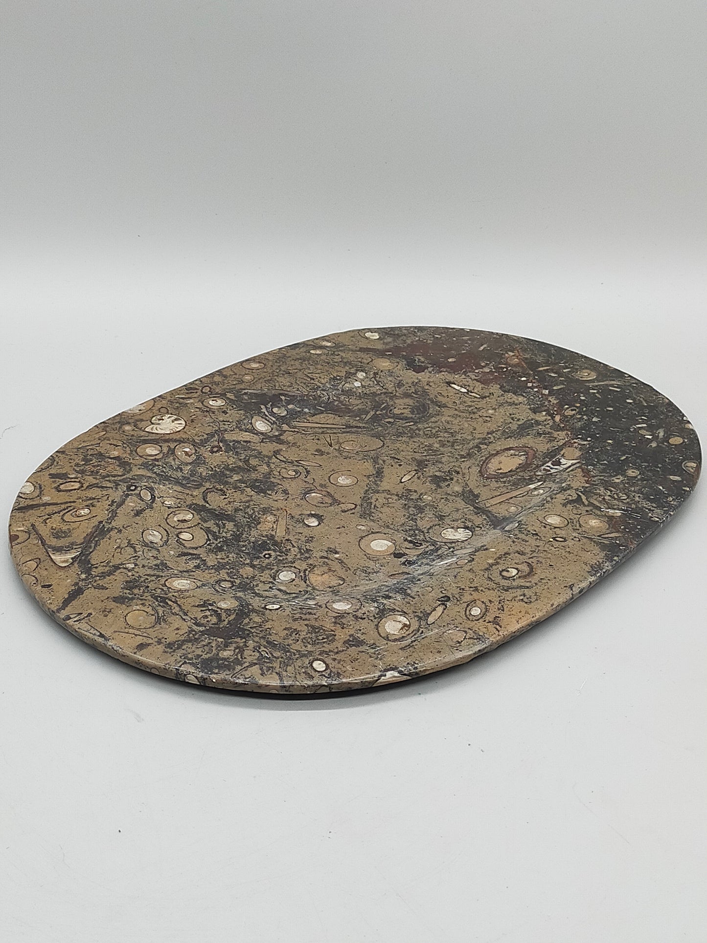 Fossilien Servierplatte aus Stein Ovale Dekoschale mit Ammoniten