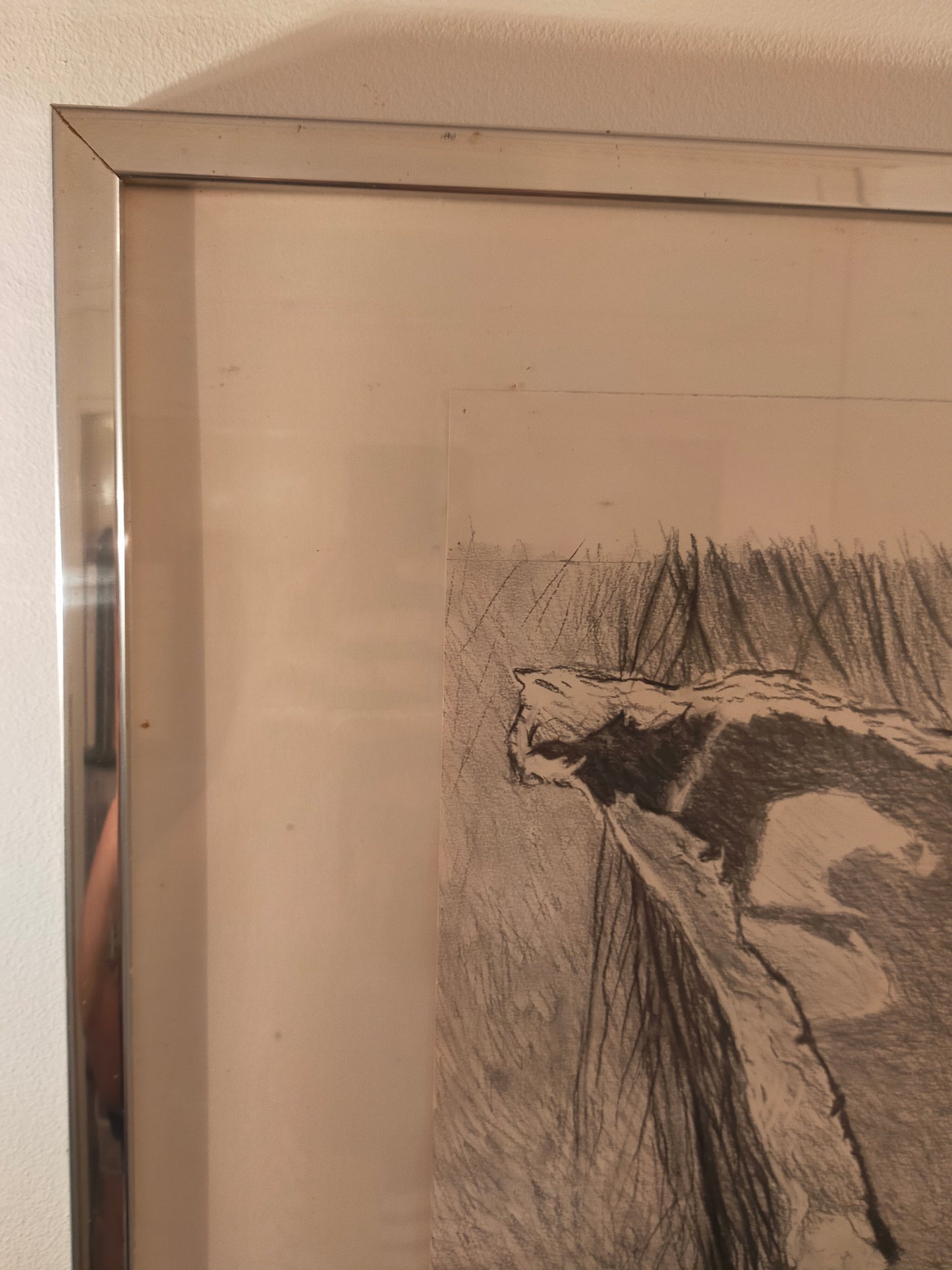 Deutsche Schule (XX) Surrealistisches Auge Kohlezeichnung / Grafik
