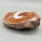 Fossilierter Ammonit auf Aufsteller Naturkunstwerk