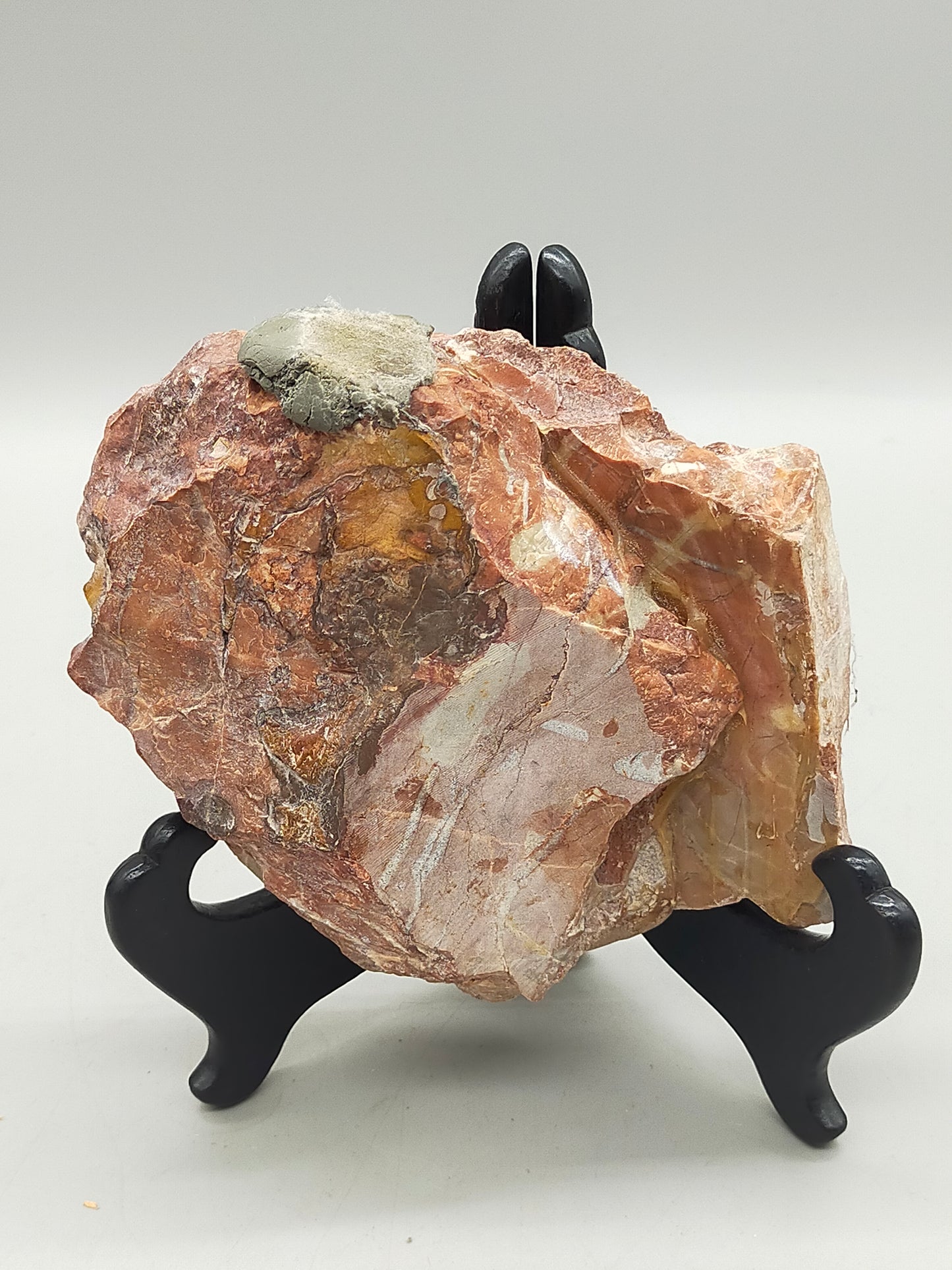 Fossilierter Ammonit auf Aufsteller Naturkunstwerk