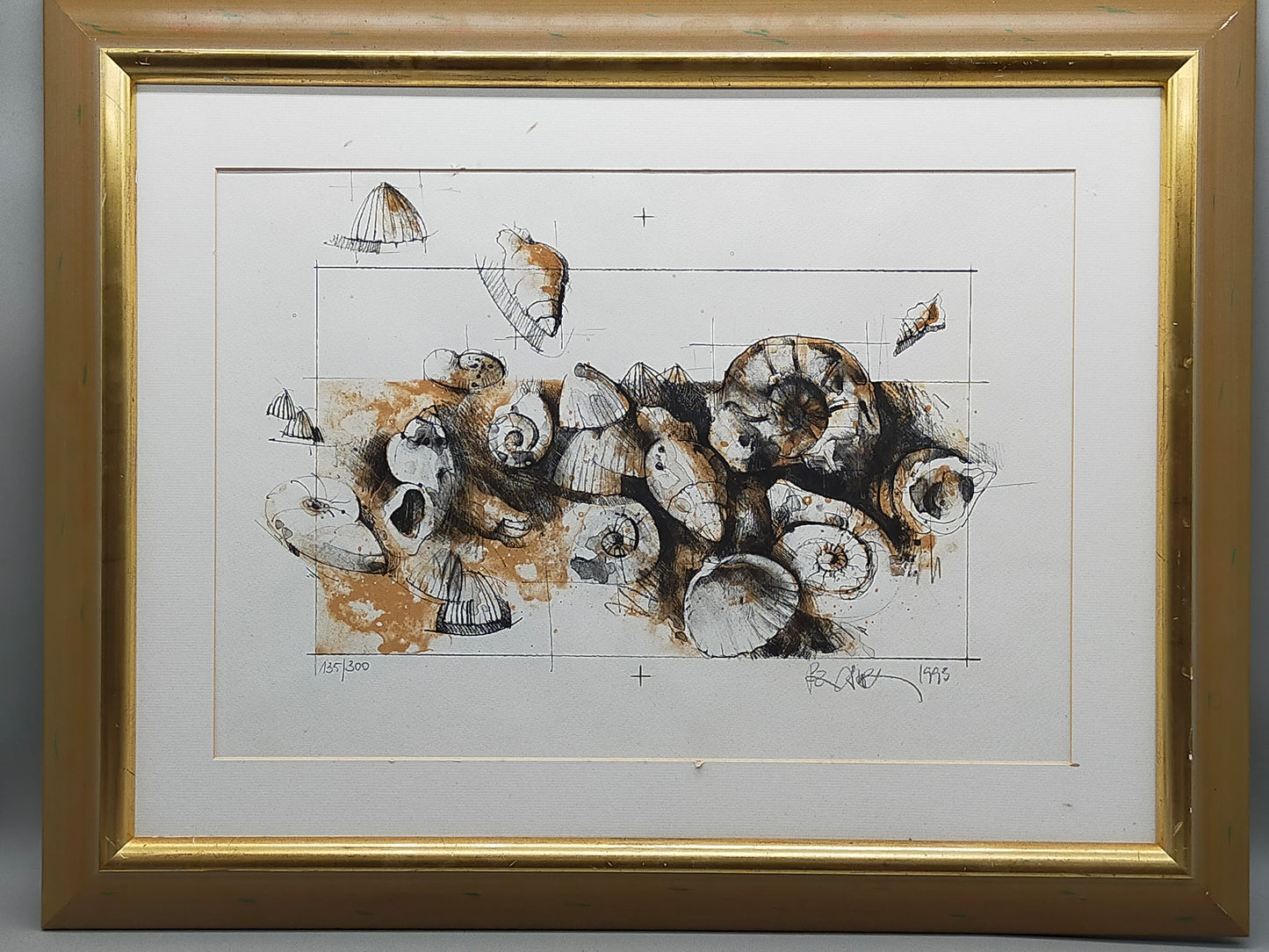 Peter Caspary (1995) Maritimes Muschel Motiv Signierte Grafik