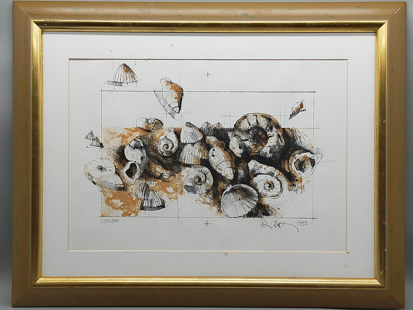 Peter Caspary (1995) Maritimes Muschel Motiv Signierte Grafik