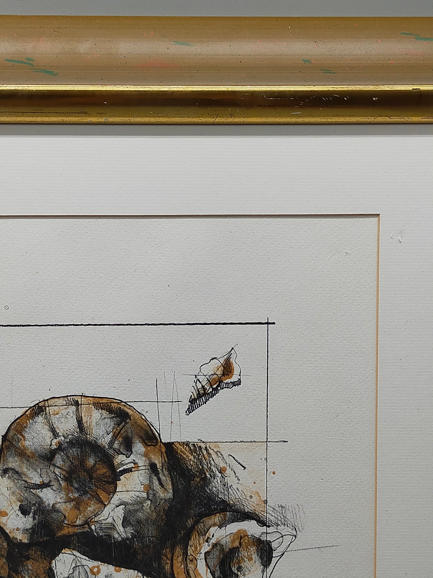 Peter Caspary (1995) Maritimes Muschel Motiv Signierte Grafik