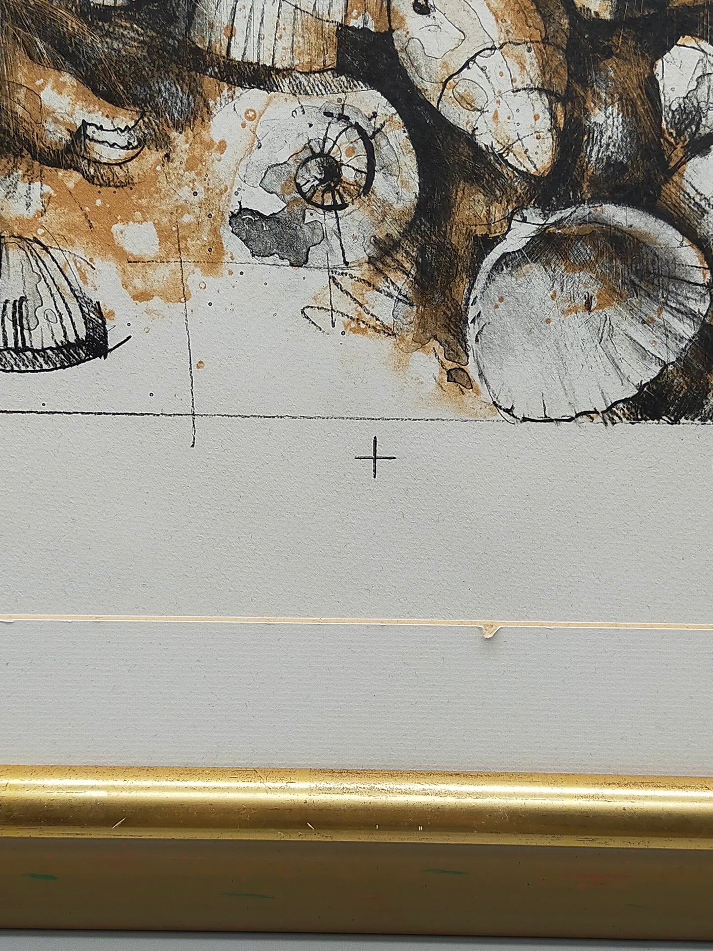 Peter Caspary (1995) Maritimes Muschel Motiv Signierte Grafik