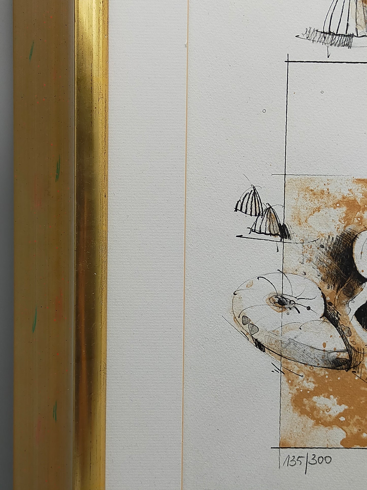 Peter Caspary (1995) Maritimes Muschel Motiv Signierte Grafik