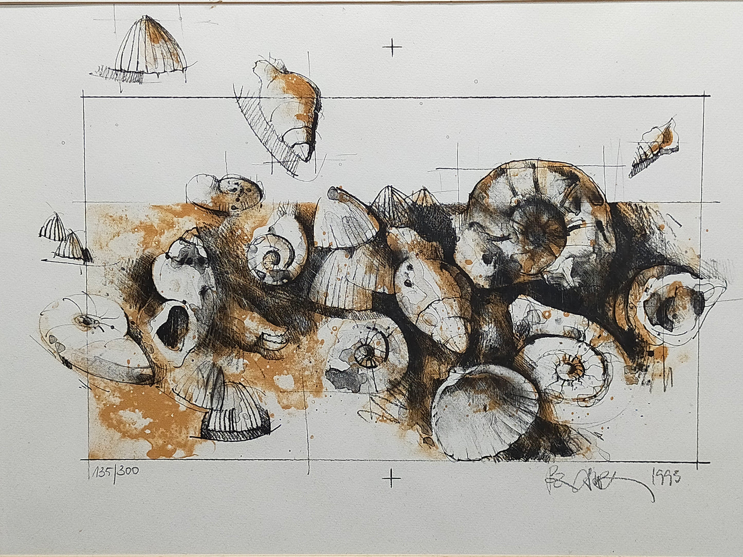 Peter Caspary (1995) Maritimes Muschel Motiv Signierte Grafik