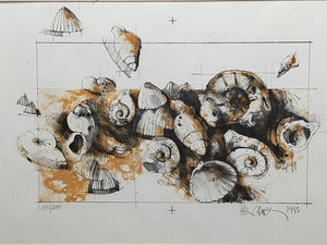 Peter Caspary (1995) Maritimes Muschel Motiv Signierte Grafik