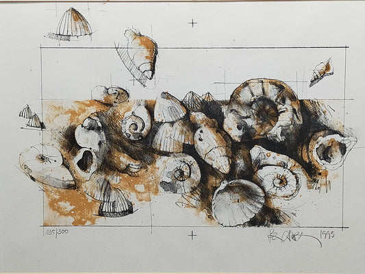 Peter Caspary (1995) Maritimes Muschel Motiv Signierte Grafik