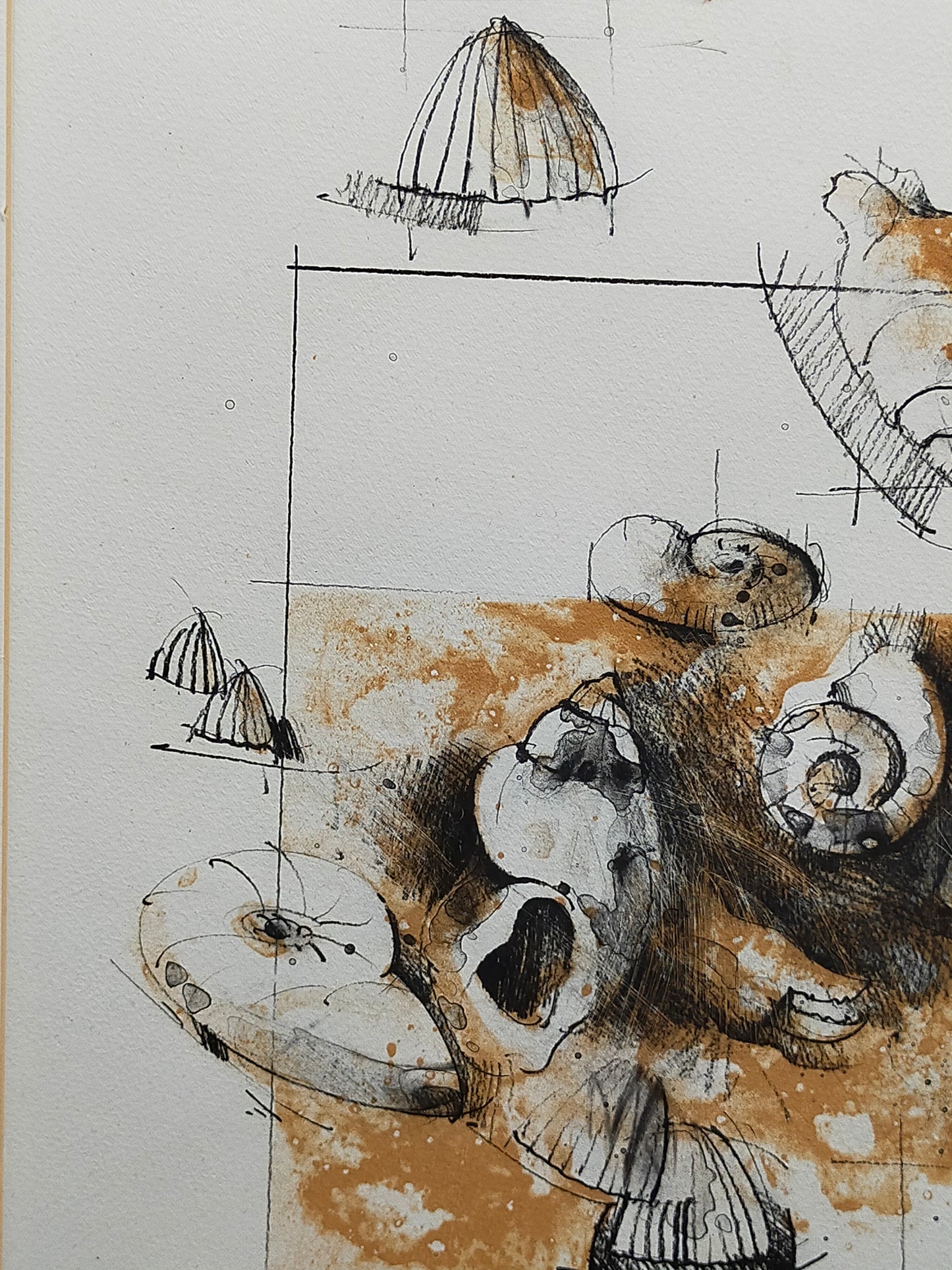 Peter Caspary (1995) Maritimes Muschel Motiv Signierte Grafik