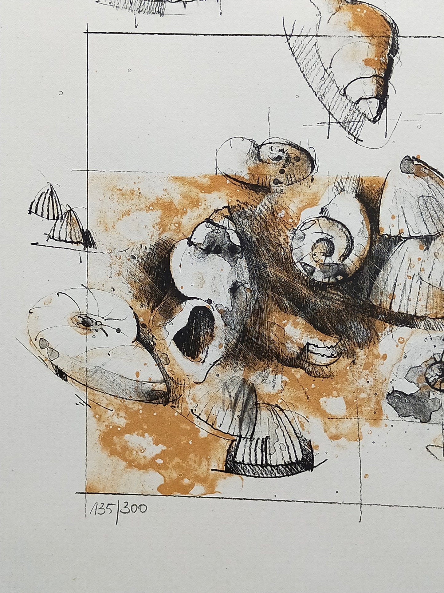 Peter Caspary (1995) Maritimes Muschel Motiv Signierte Grafik